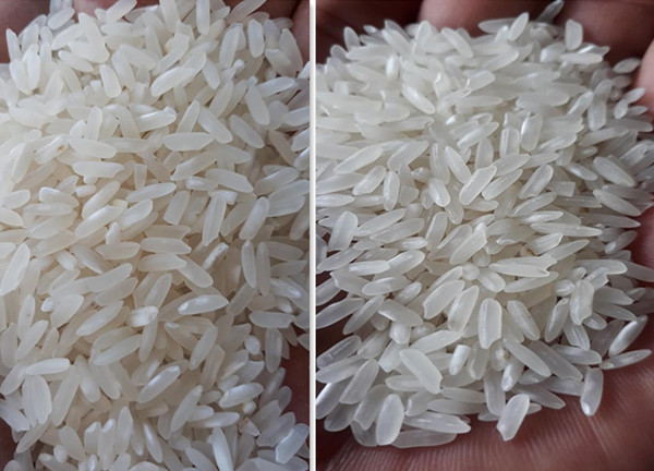 pulidora de arroz 